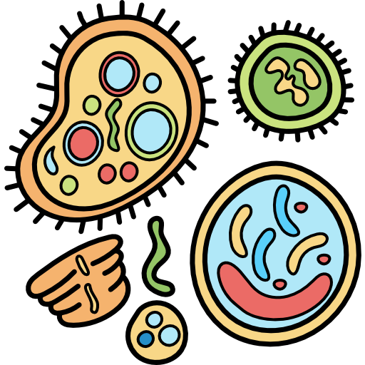 categories